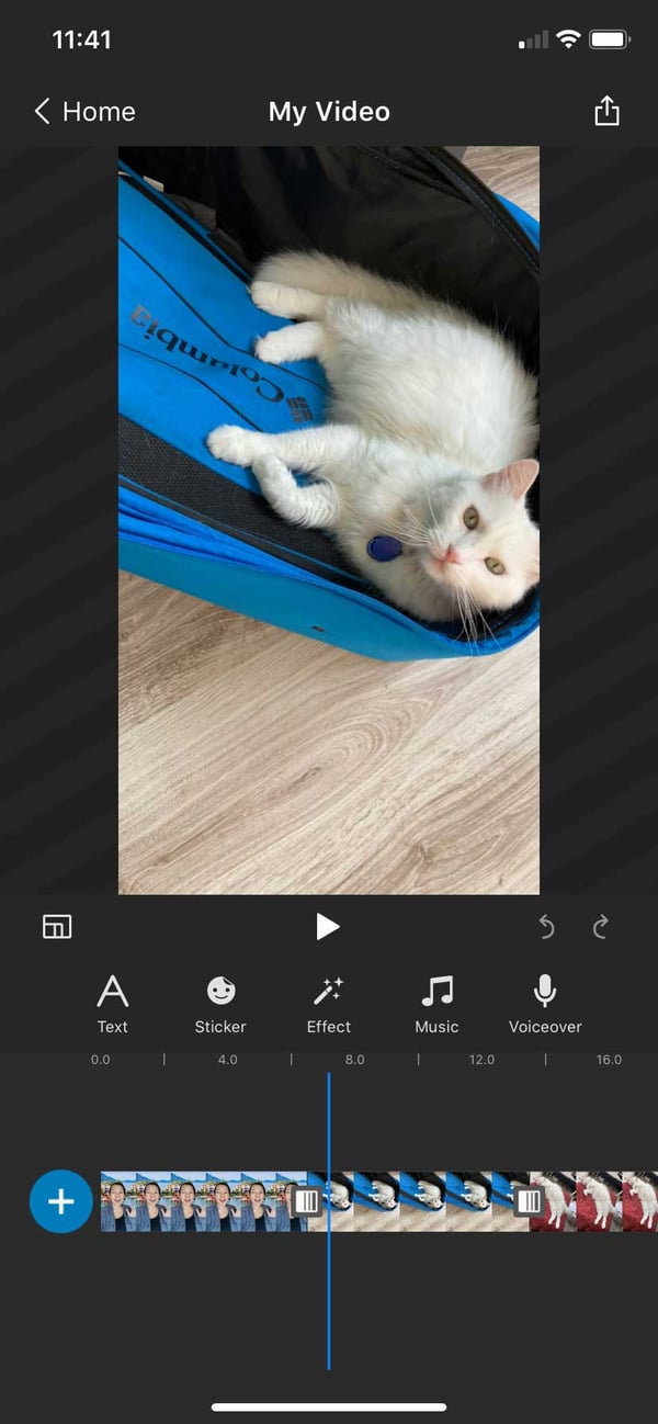 How to Make a TikTok Video - Step-by-Step Instructions