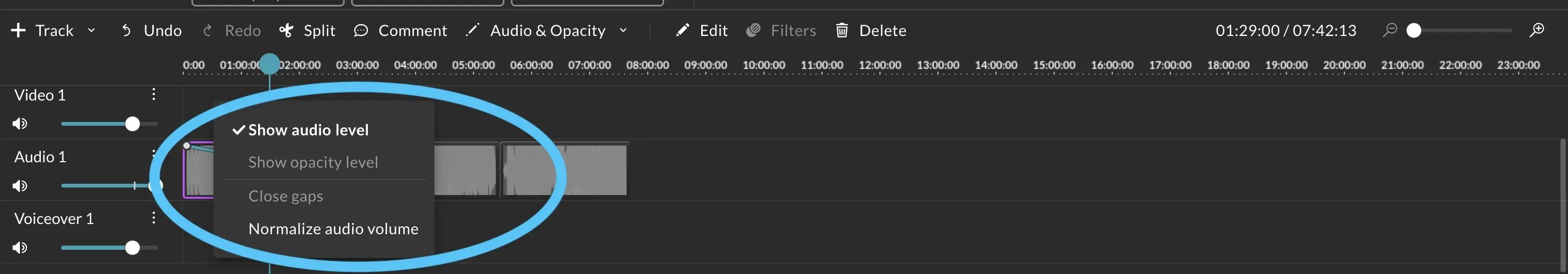 Right-click to "Show audio level" on an audio clip in the WeVideo editor